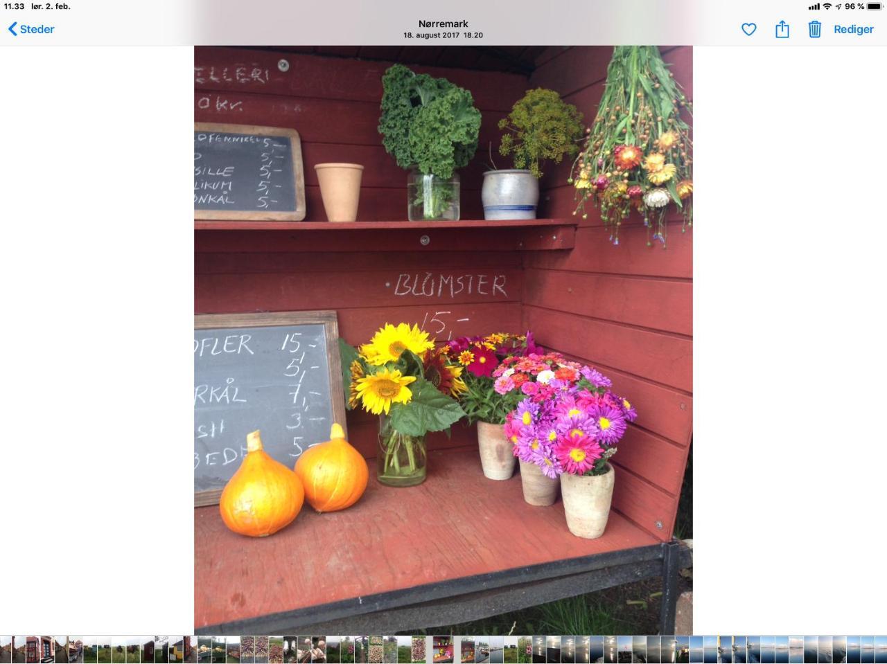 Molevitten Apartments Søby 외부 사진